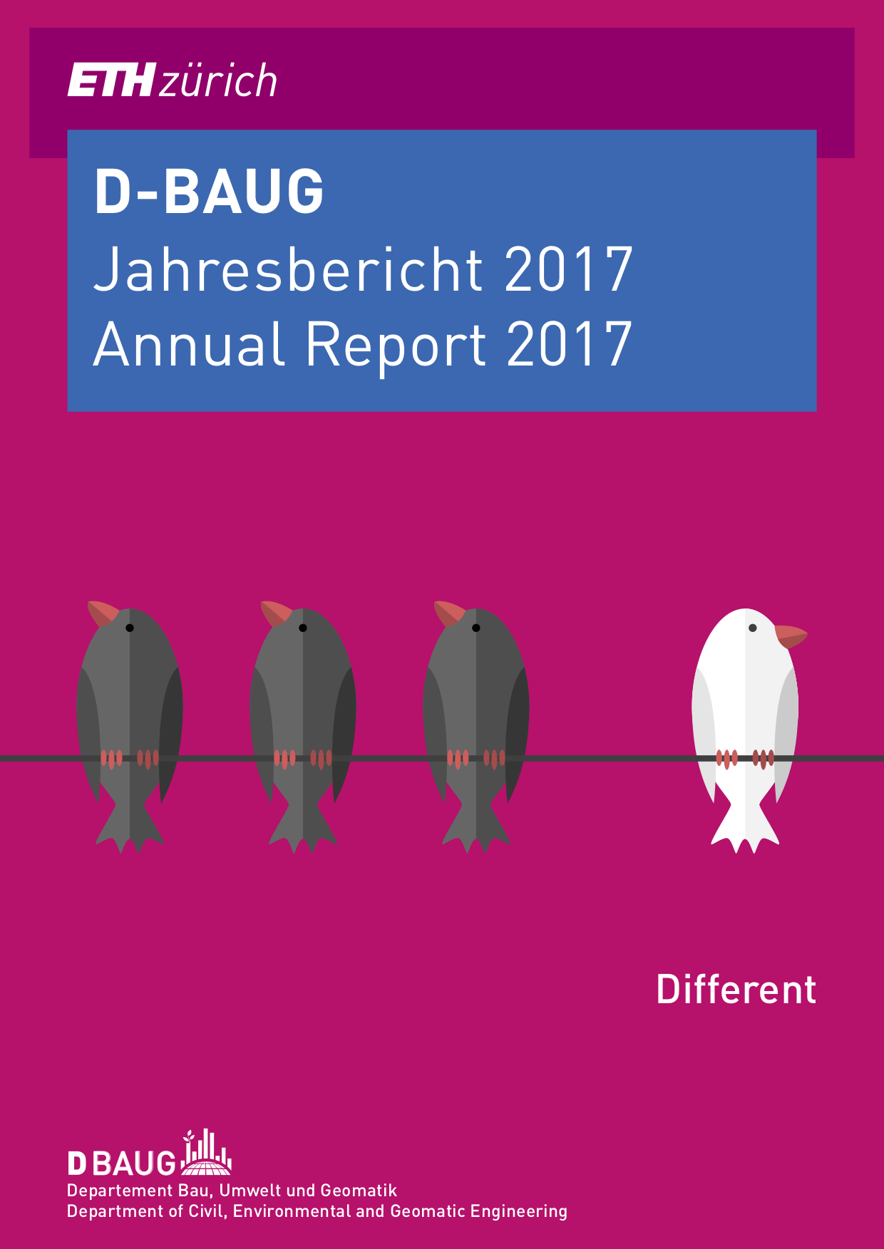 D-BAUG Annual report 2017