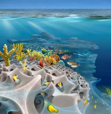 3D printing new homes for corals
