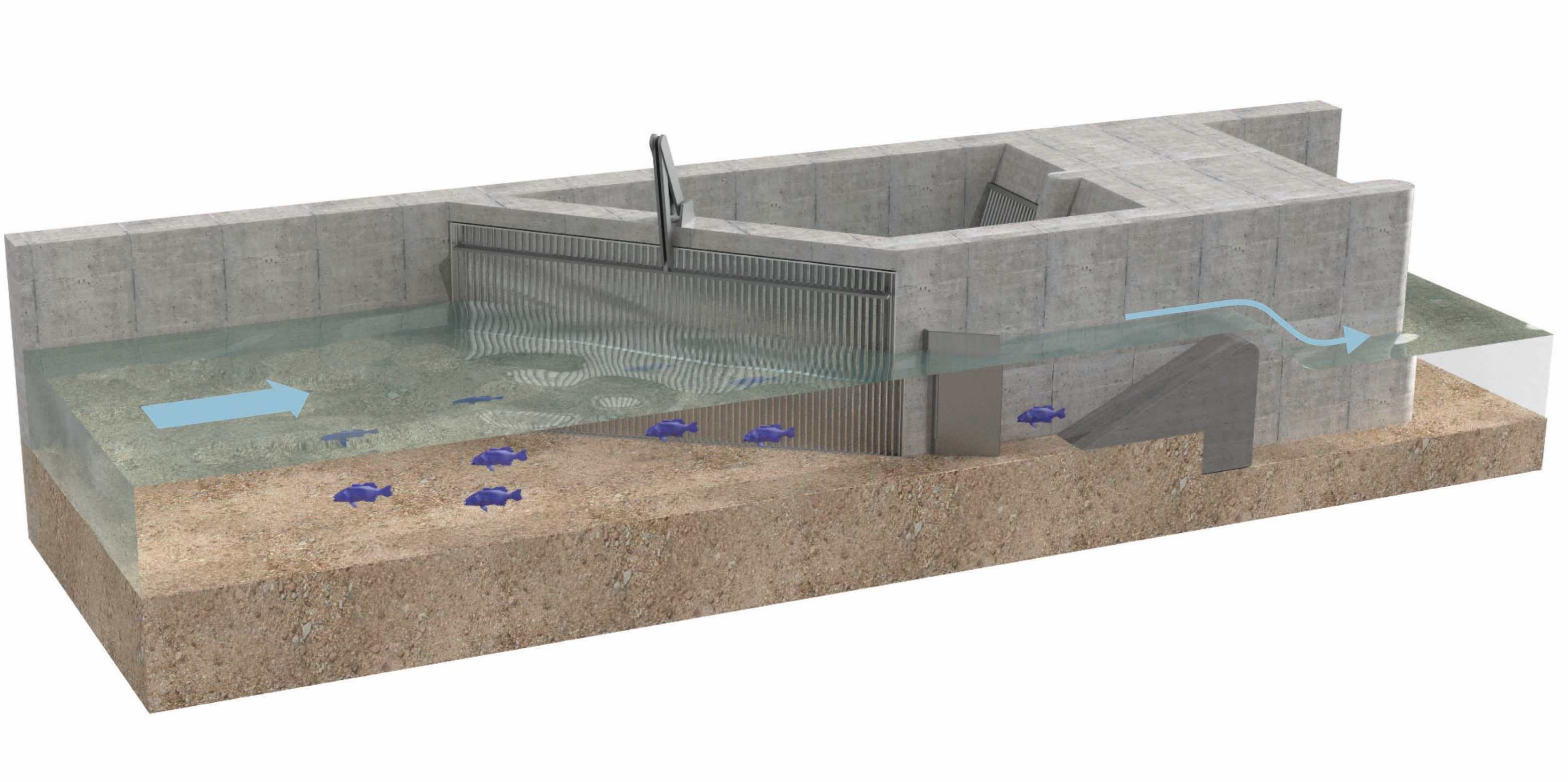 Illustration showing safe guidance system for fish