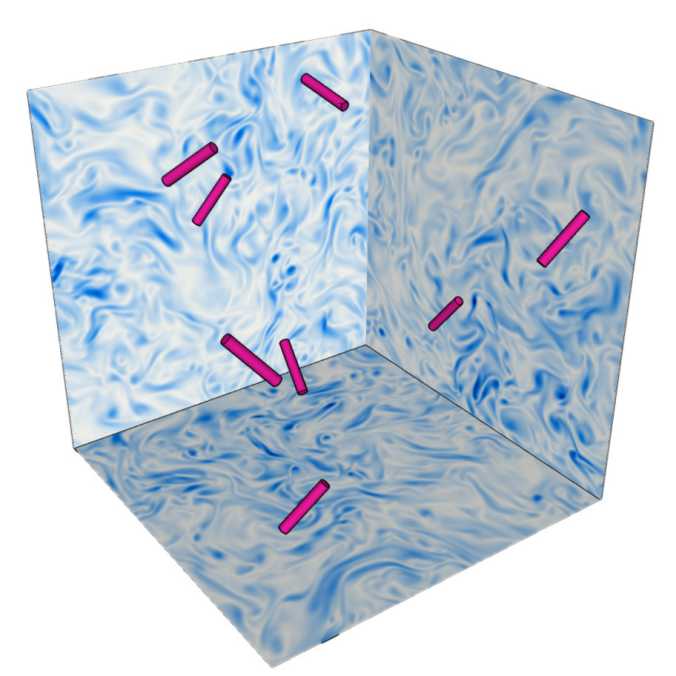 Illustration, tracking movements of rigid fibres