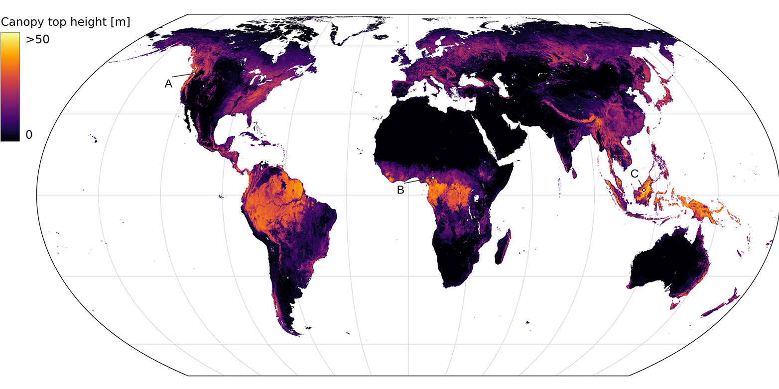 world map of vegetation heights