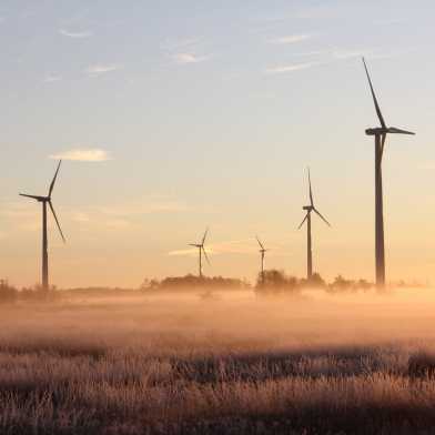 Fleet of wind turbines