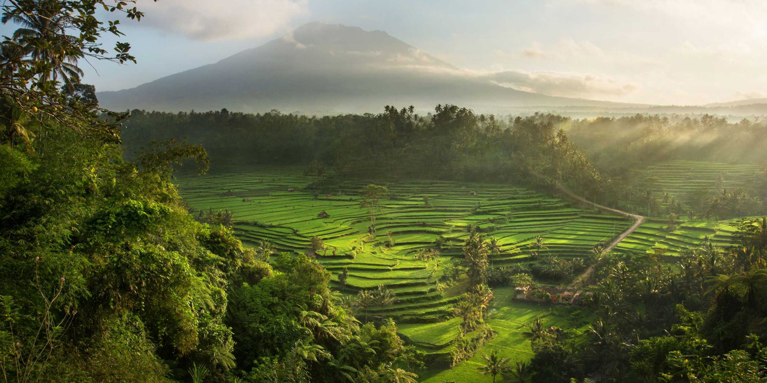 Landscape