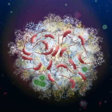 Illlustration of a microbial community