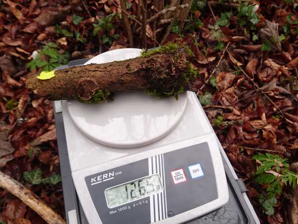 weighing wood
