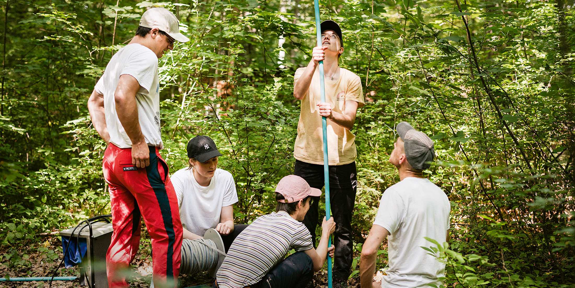 Five students at work in the forest