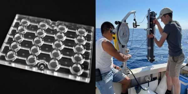 Collage of a chip and technical equipments