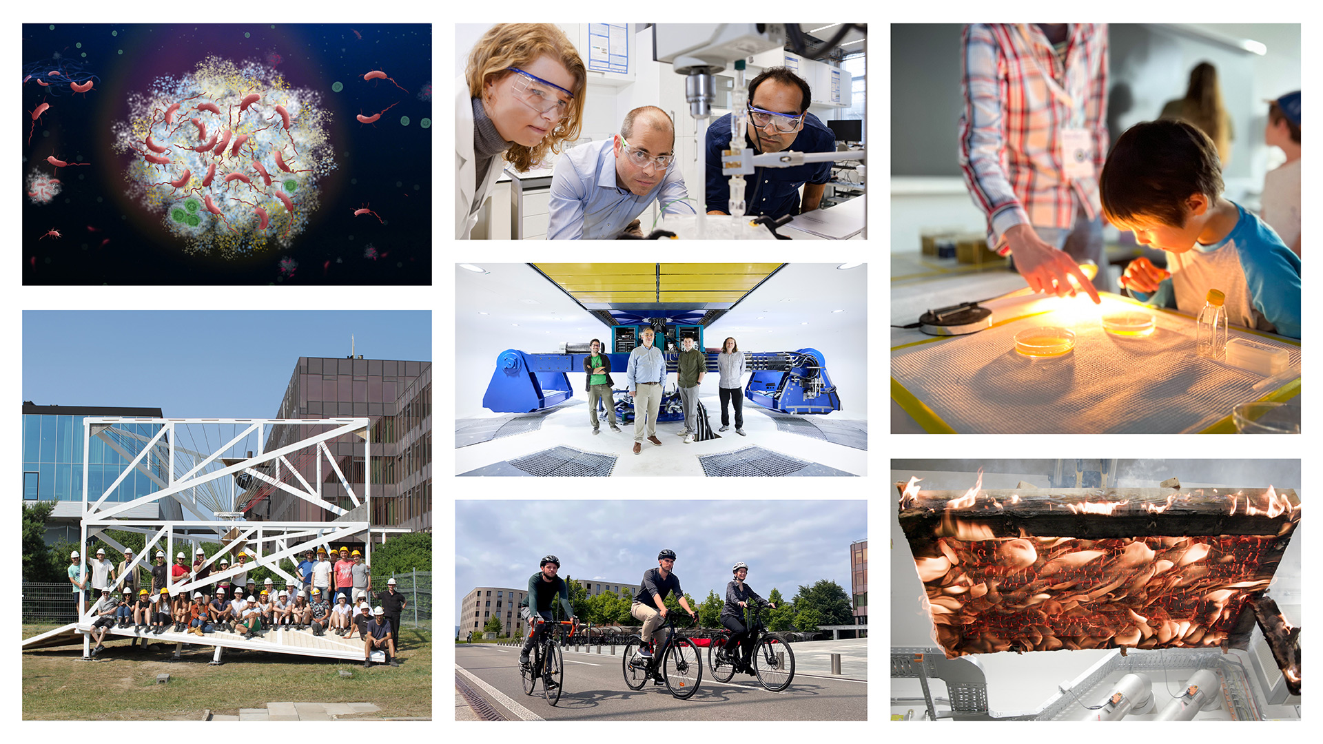Collage for Annual Report