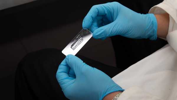 Enlarged view: Holding a micro-chip in hands