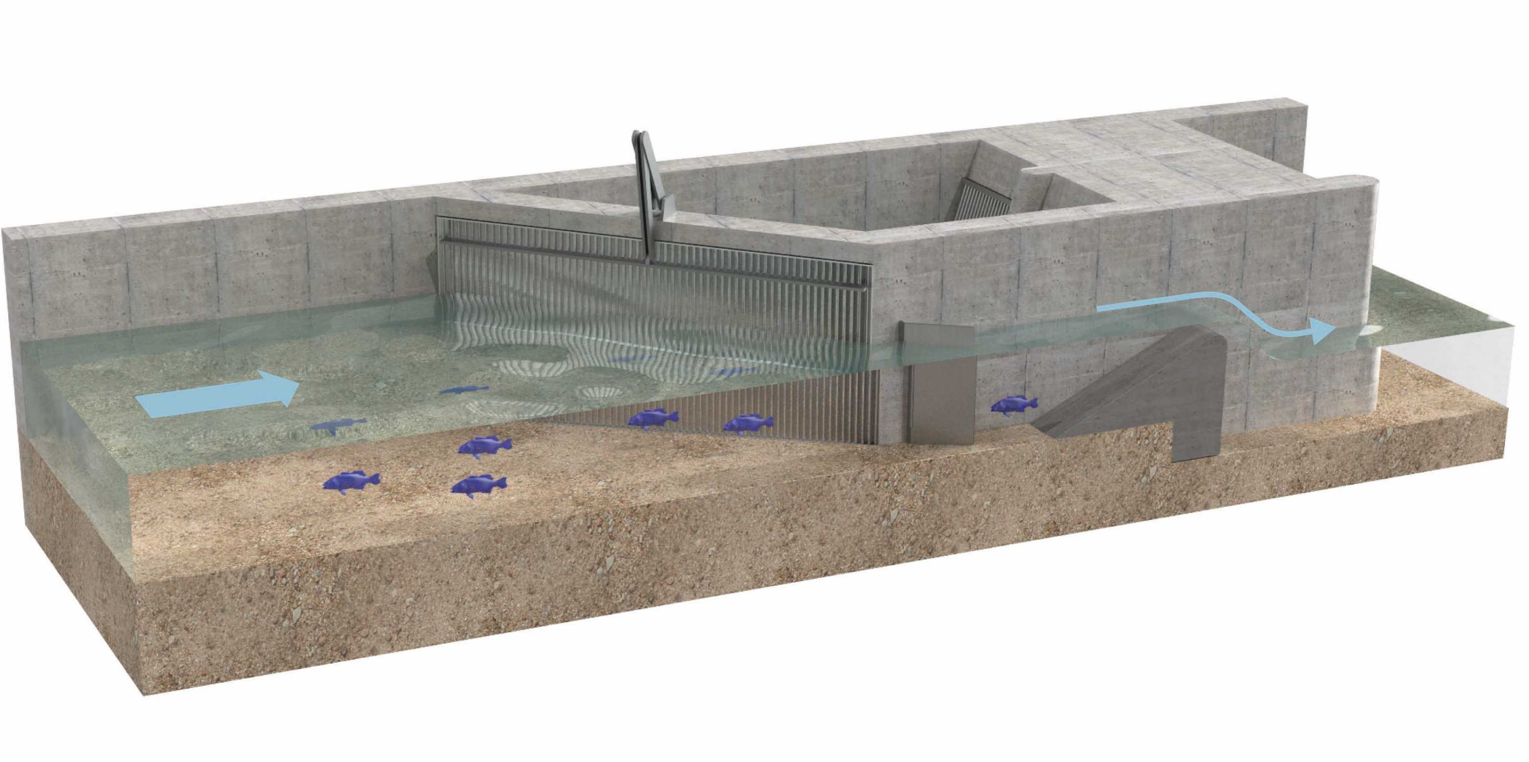Illustration eines sicheren Leitsystems für Fische