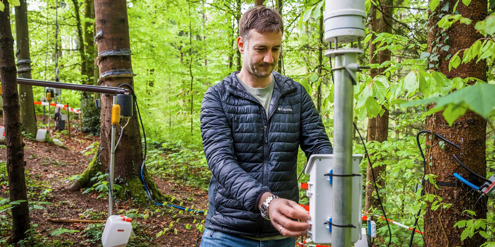 Dieses Bild zeigt ein Forscher im Wald an einem Messinstrument