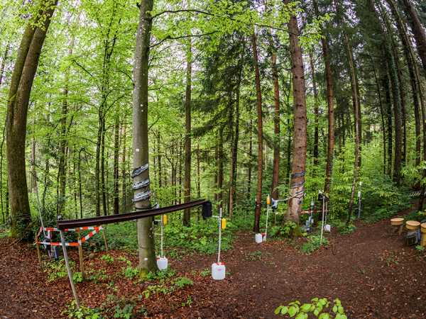 Versuchinstallation mit Fischaugenlinse im Wald fotografiert