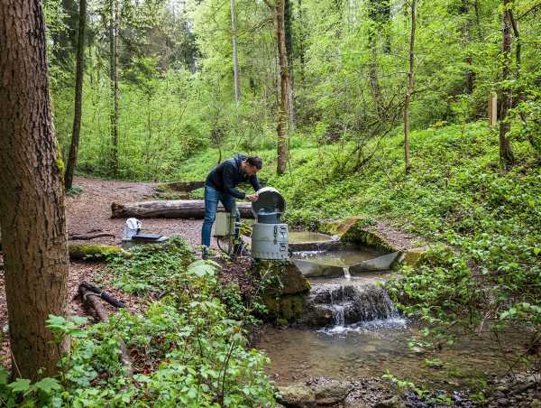 Forscher schaut auf ein Messgerät im Waldbach