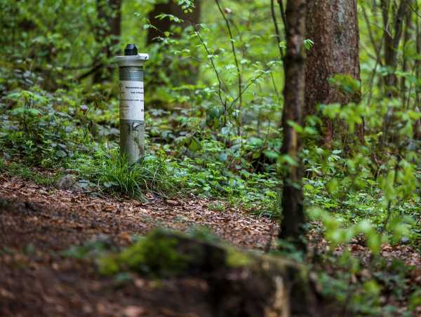 ein zylinderisches Messgerät im Wald