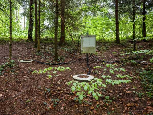 Ein Bereich vom Waldboden ist abgesperrt für Messungen