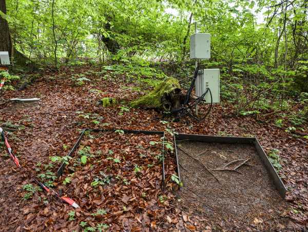 Ein Bereich vom Waldboden ist abgesperrt für Messungen